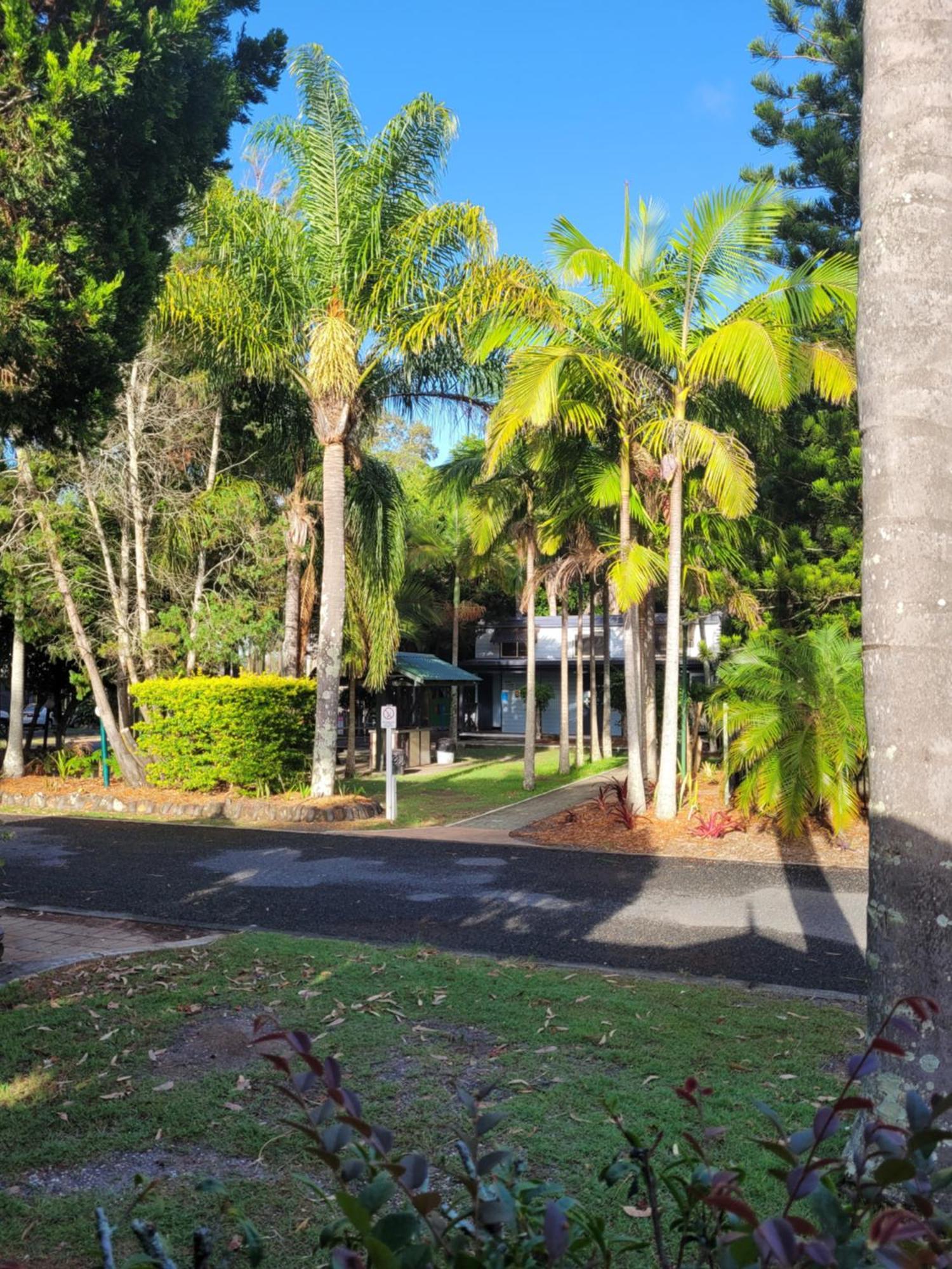 Lani'S Holiday Island Forster Exterior foto